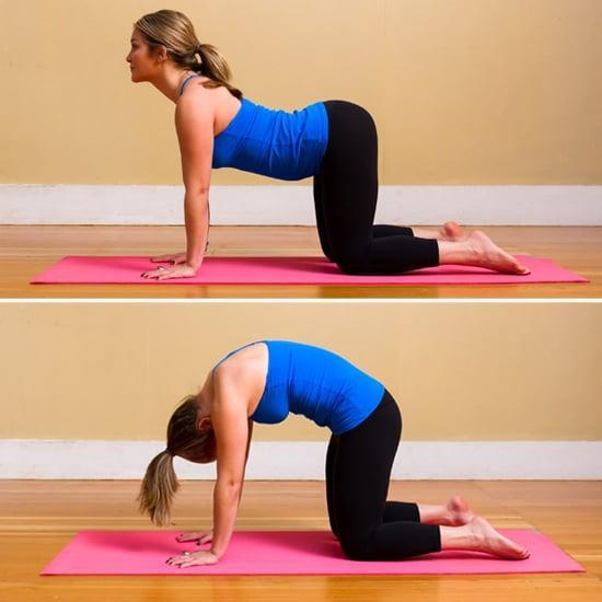 Cat-Cow, Sphinx, Cobra: Yoga Poses To Help Strengthen Your Spine- Republic  World